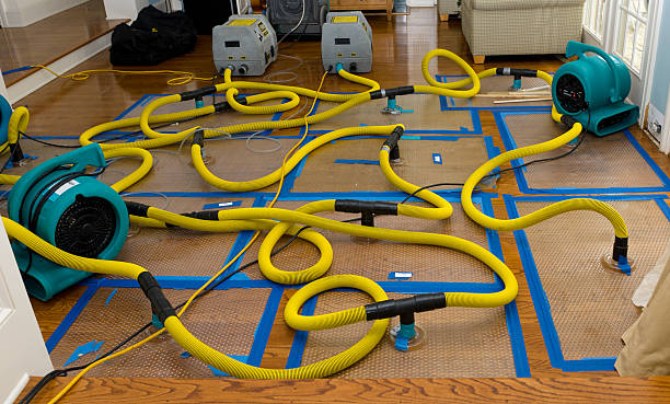 Professional Crawl Space Water Removal technician working in Waldorf, MN